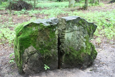 09-07-betriebsausflug-gemref--24--jpg