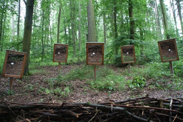 09-07-betriebsausflug-gemref--31--jpg